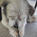 Photo n°3 de l'avis de linda.u fait le 15/09/2019 à 18:03 sur le  Decanter Esperienza Del Gusto à Codroipo