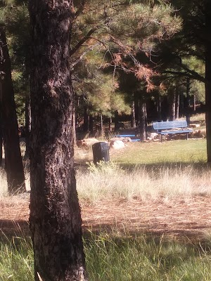 Bear Paw Activities Center - photo 18