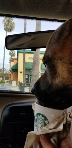 Starbucks image