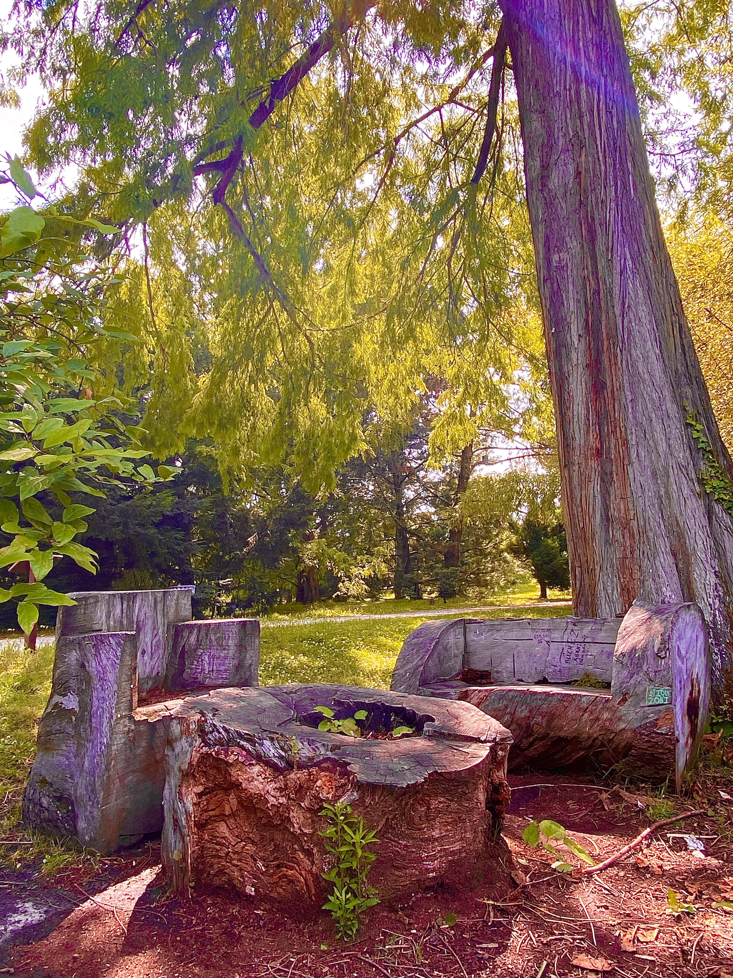 Photo n° 6 de l'avis de Alissia.. fait le 01/10/2022 à 11:21