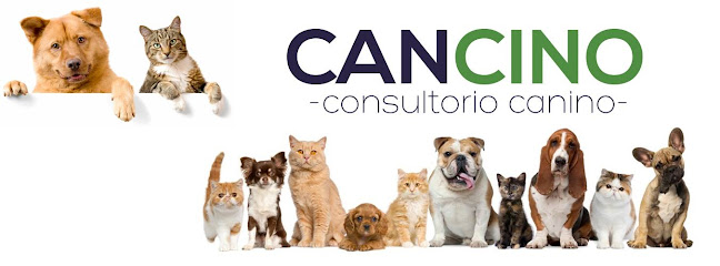 Consultorio Canino Doctor Cancino Sucursal Cañadas