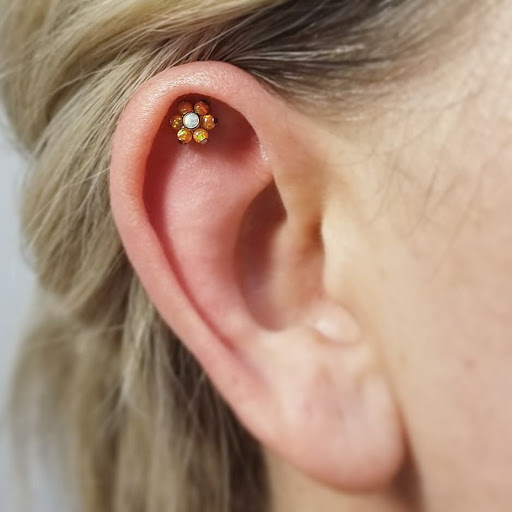 Body Piercing Shop «Skin Gallery Tattooing & Body Piercing», reviews and photos, 1402 Ogden Ave, Downers Grove, IL 60515, USA