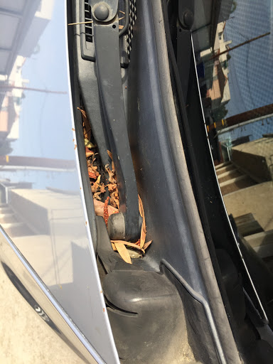 Car Wash «Lincoln Millennium Car Wash», reviews and photos, 2454 Lincoln Blvd, Venice, CA 90291, USA