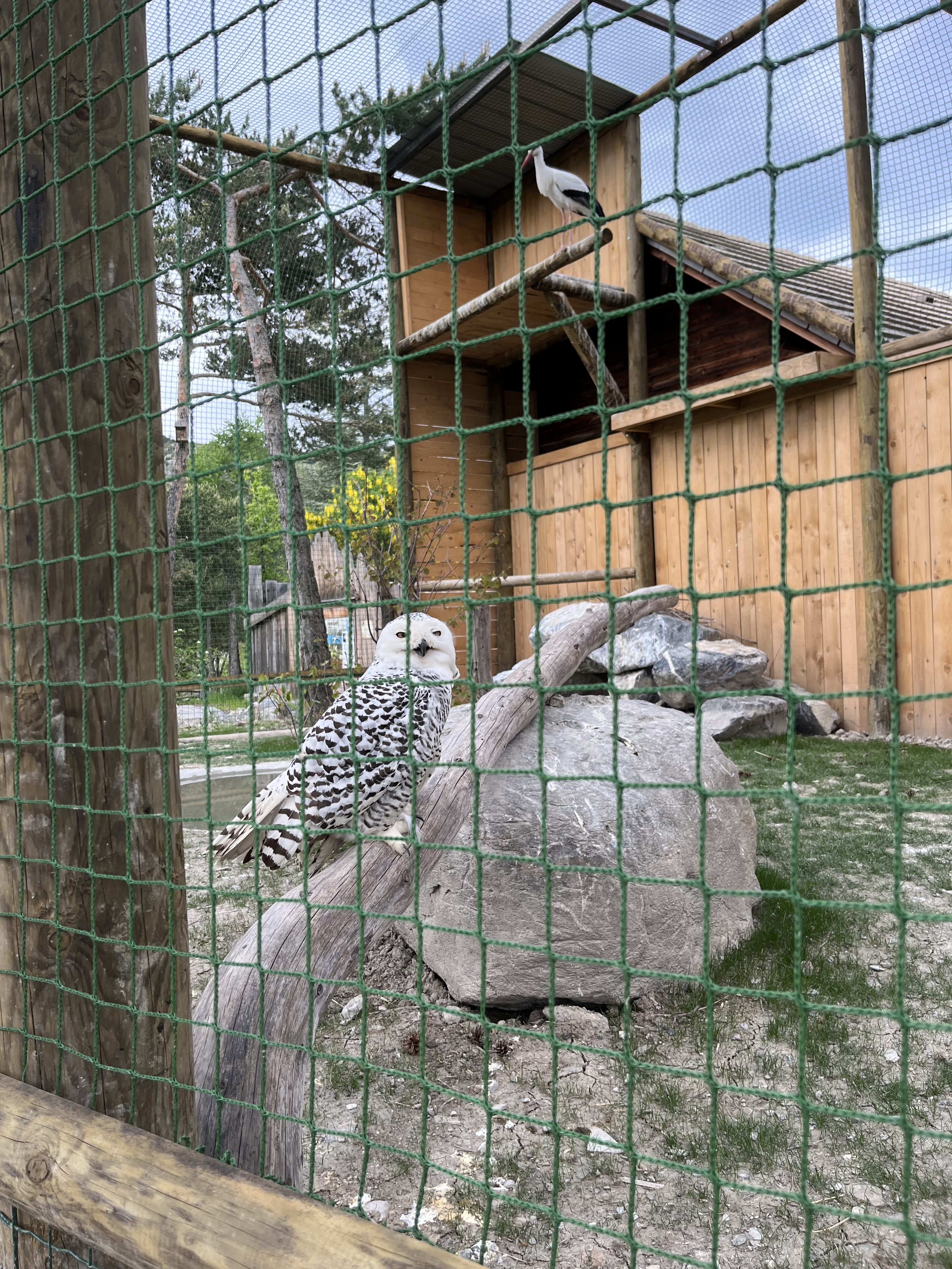 Photo n° 2 de l'avis de Rcdgns. fait le 13/05/2023 à 20:31