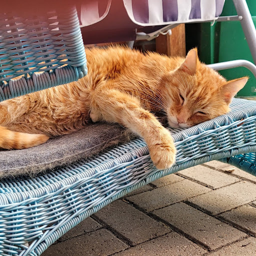 Tierarztpraxis Mark Feldmann unter Hückelhoven, Nordrhein-Westfalen