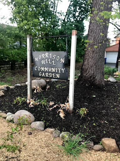 Morrison Hill Community Garden image 4