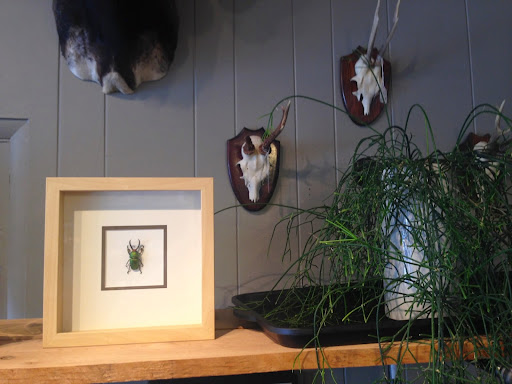 Gift Shop «Natural Selection», reviews and photos, 39 St Lawrence Ave, Reno, NV 89509, USA