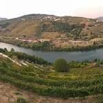 Photo n°2 de l'avis de Fabian.e fait le 07/04/2018 à 02:27 sur le  Delfim Douro Hotel à Samodães