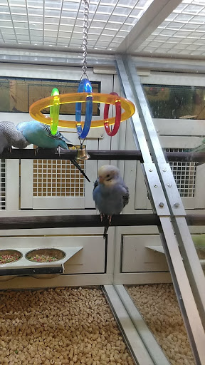 Pet Supply Store «PetSmart», reviews and photos, 2925 Lancaster Dr NE, Salem, OR 97305, USA