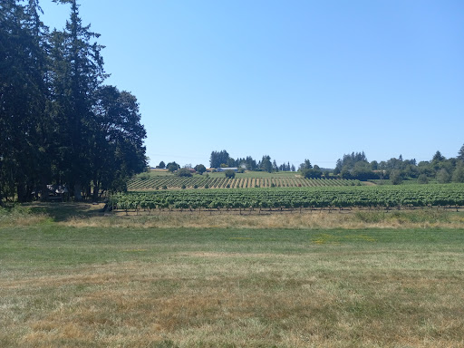 Winery «Bethany Vineyard & Winery», reviews and photos, 4115 NE 259th St, Ridgefield, WA 98642, USA