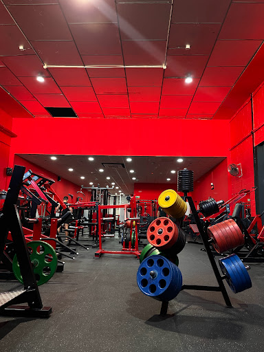 EL PARAÍSO DEL MÚSCULO en Mérida, Badajoz