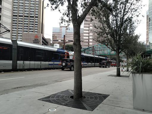 Coffee Shop «Starbucks», reviews and photos, 6600 Fannin St, Houston, TX 77030, USA