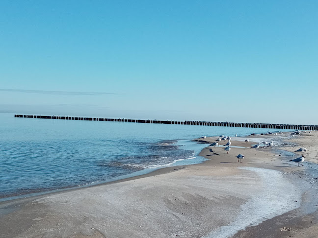 Hotel Maximus Spa: Wczasy nad morzem - Spa