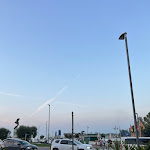 Photo n°3 de l'avis de Jill.i fait le 03/10/2023 à 07:39 sur le  Trattoria Al Ponte Peschiera del Garda à Peschiera del Garda