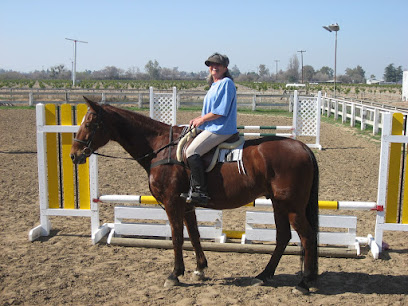 Tally Ho Horse Park