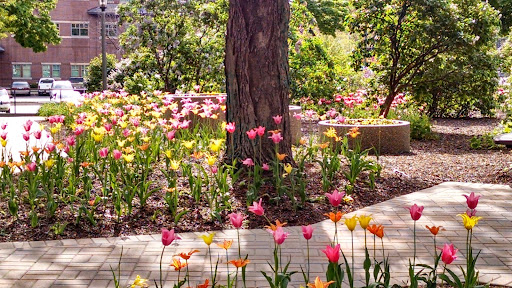 Park «Lilacia Park», reviews and photos, 150 S Park Ave, Lombard, IL 60148, USA