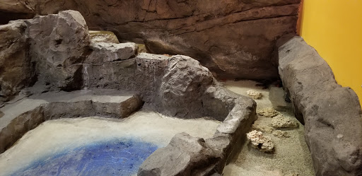 Aquarium «SeaQuest Interactive Aquarium Las Vegas», reviews and photos, 3528 S Maryland Pkwy #340, Las Vegas, NV 89169, USA