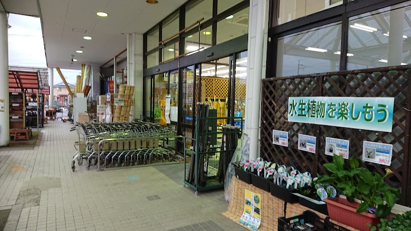 アヤハディオ 近江八幡店