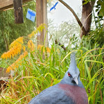 Photo n° 6 de l'avis de Frédéric.a fait le 28/10/2023 à 11:44 pour Zoo de La Flèche à La Flèche