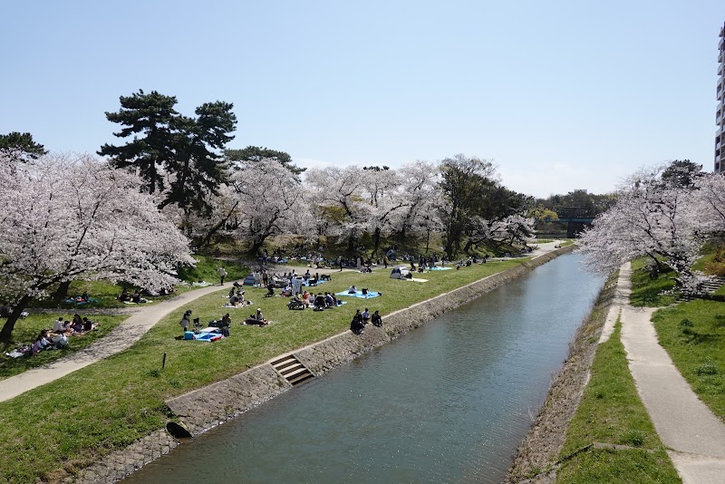 竹千代橋