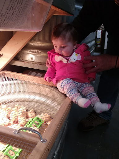 Garden Center «Animals and Gardens Unlimited», reviews and photos, 14 Jacobstown Rd, New Egypt, NJ 08533, USA