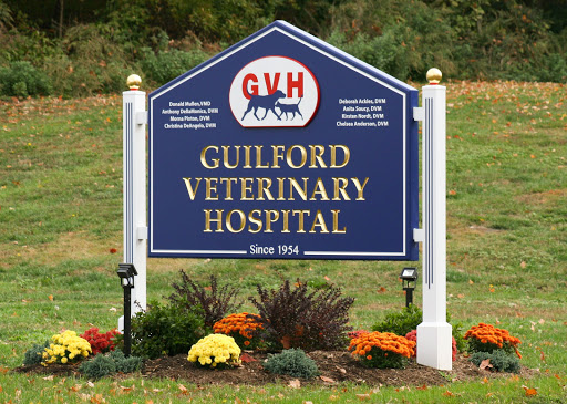 Animal Hospital Â«Guilford Veterinary HospitalÂ», reviews and photos