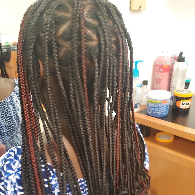 Latest Look in African Braid