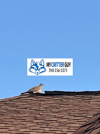 My Bat Guy - Photo 7 - Car repair in Grand Blanc, MI, Flint