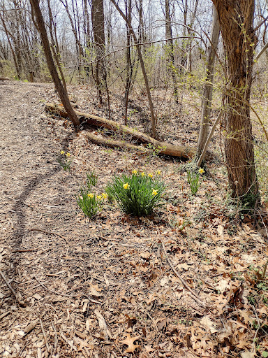 Nature Preserve «DeGraaf Nature Center», reviews and photos, 600 Graafschap Rd, Holland, MI 49423, USA