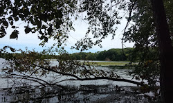 Storrs Lake Wildlife Area