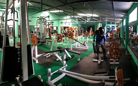 New Perfect Gym 2013 image