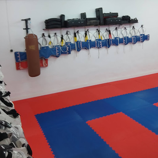 GIMNÀS TKD SANSA en Sant Sadurní d'Anoia, Barcelona