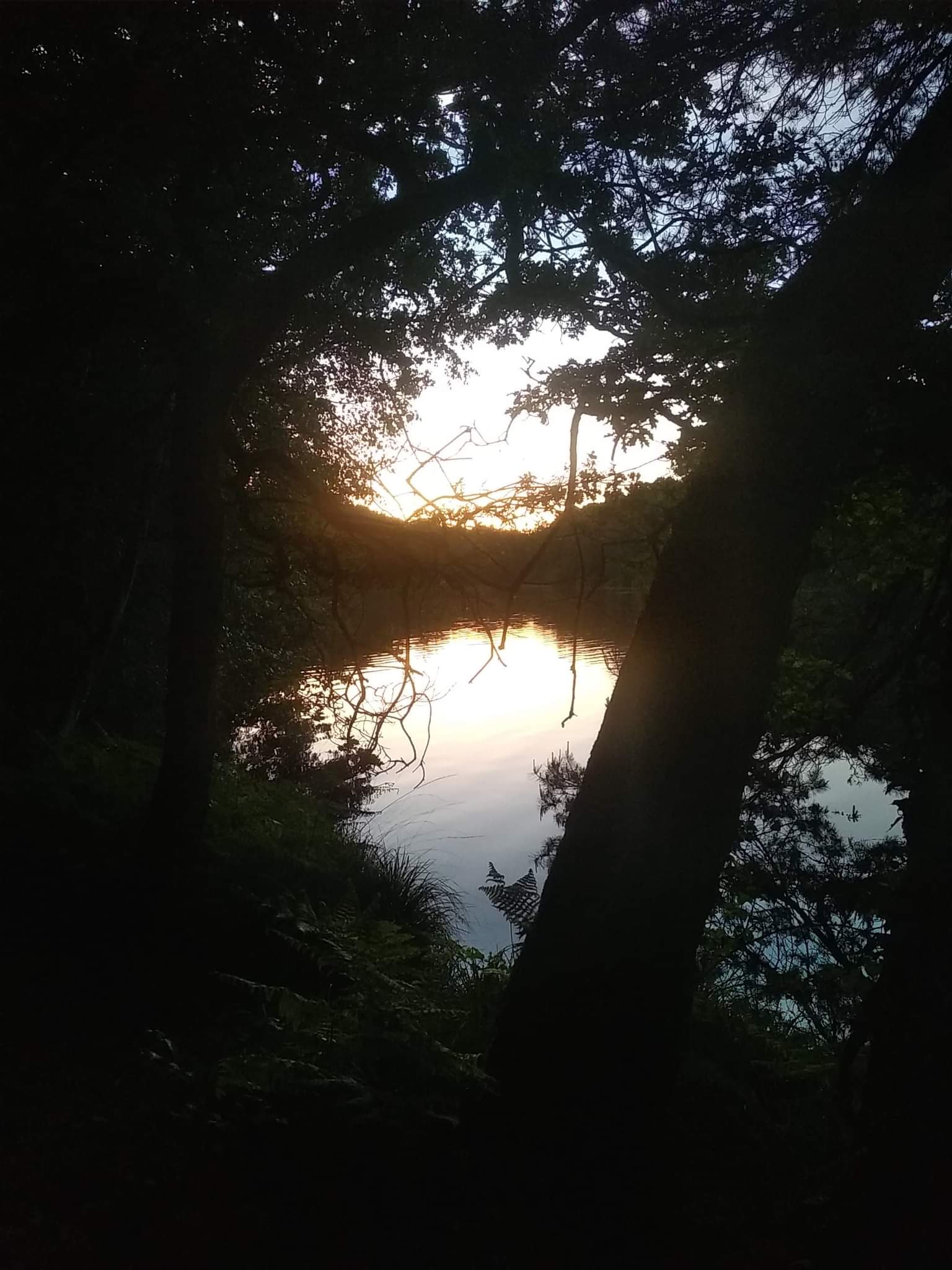 Photo n° 13 de l'avis de Au.r fait le 29/05/2022 à 20:43