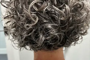 Naturally Organic Hair image