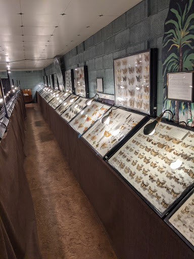 Museum «May Natural History Museum», reviews and photos, 710 Rock Creek Canyon Rd, Colorado Springs, CO 80926, USA
