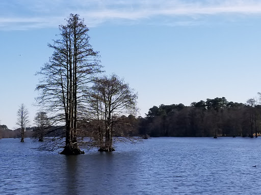 Golf Club «Stumpy Lake Golf Course», reviews and photos, 4797 Indian River Rd, Virginia Beach, VA 23456, USA