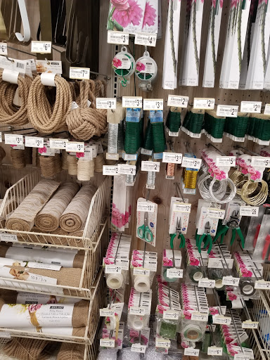 Craft Store «Michaels», reviews and photos, 4255 Pheasant Ridge Dr NE, Blaine, MN 55449, USA