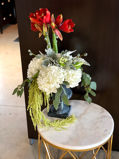 Hair Salon «Jonathan Kane Salon & Spa», reviews and photos, 18065 Harwood Ave, Homewood, IL 60430, USA