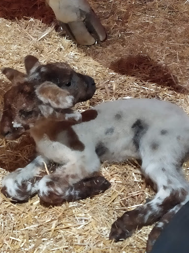 Wax Museum «Madame Tussauds New York», reviews and photos, 234 W 42nd St, New York, NY 10036, USA