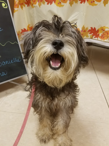 Pet Supply Store «PetSmart», reviews and photos, 2017 N Prospect Ave, Champaign, IL 61822, USA