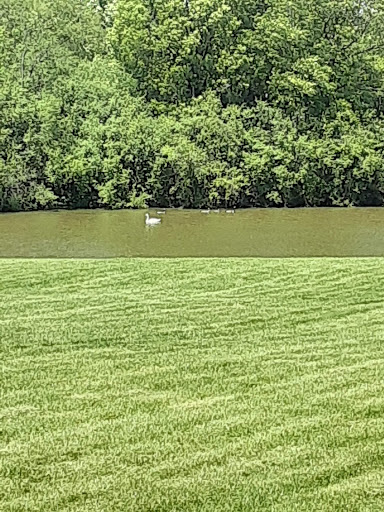 Tourist Attraction «Crossroads Village & Huckleberry Railroad», reviews and photos, 6140 Bray Road, Flint, MI 48505, USA