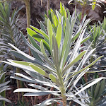 Photo n° 9 de l'avis de Isabelle.s fait le 04/09/2022 à 18:57 pour Jardins Panoramiques de Limeuil à Limeuil