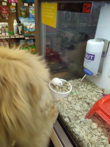 Pet Supply Store «Petco Animal Supplies», reviews and photos, 1150 Concord Ave #160, Concord, CA 94520, USA