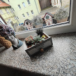 Photo n°7 de l'avis de M... fait le 28/03/2024 à 13:24 sur le  Hotel Domschatz à Quedlinburg