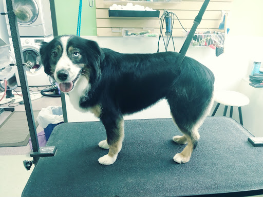 Pet Groomer «Happy Tails Pet Center», reviews and photos, 4370 SE King Rd Ste 260, Milwaukie, OR 97222, USA