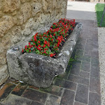 Photo n°1 de l'avis de Rita.i fait le 07/06/2023 à 18:20 sur le  Agriturismo San Galgano - Terre di San Galgano à Chiusdino