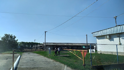 Agro-Cow Mezőgazdasági Kft.