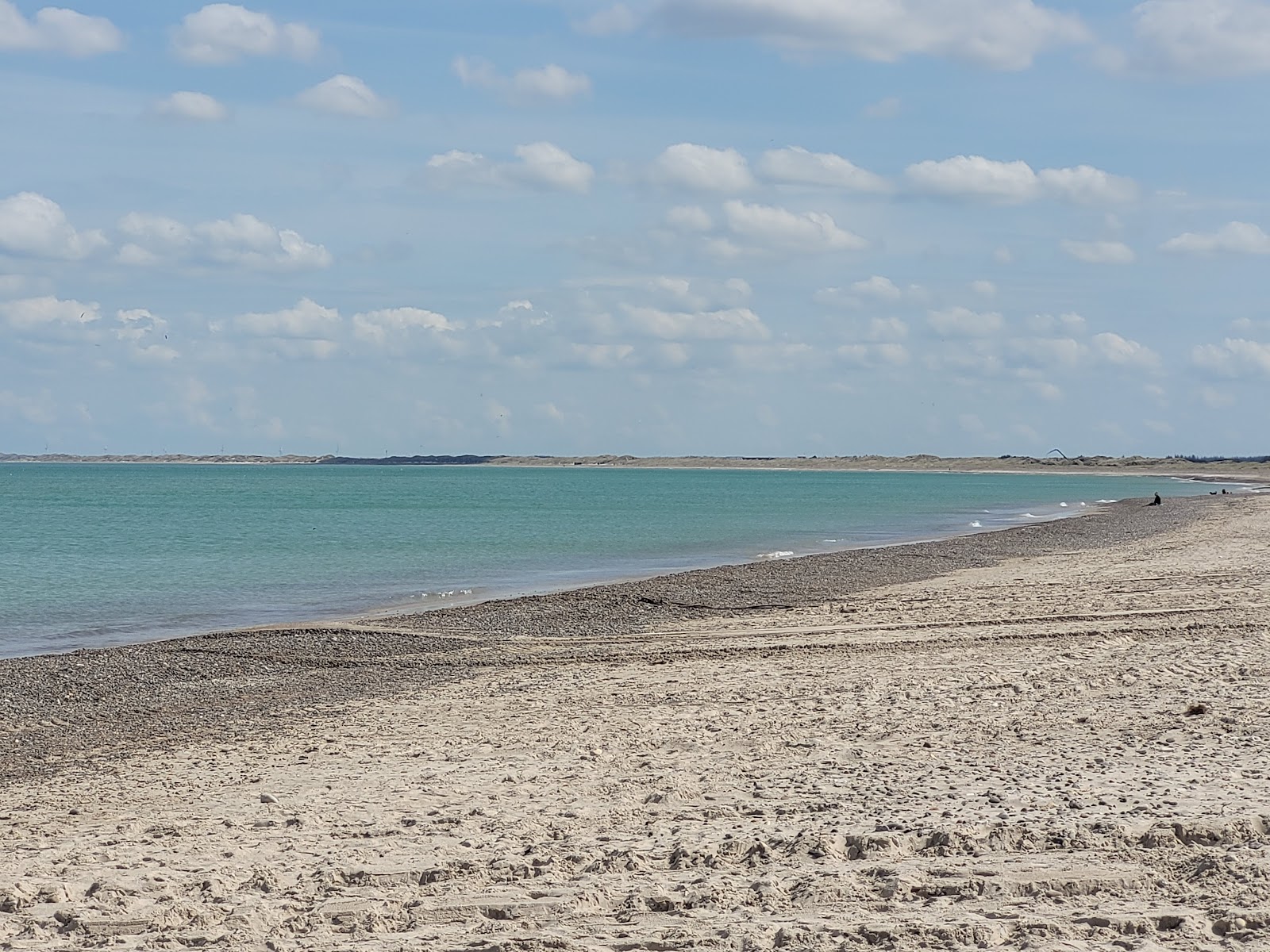 Photo de Slettestrand Beach avec rivage droit, long