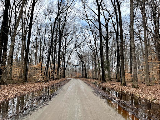 Nature Preserve «Wye Island Natural Resources Management Area», reviews and photos, 632 Wye Island Rd, Queenstown, MD 21658, USA