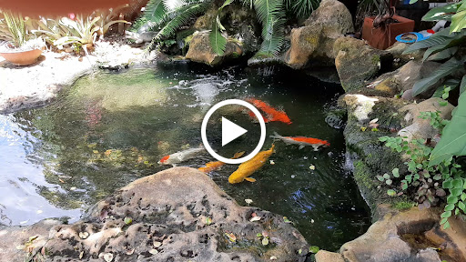 Wholesale Plant Nursery «Galloway Farm Nursery Inc.», reviews and photos, 7790 SW 87th Ave, Miami, FL 33173, USA